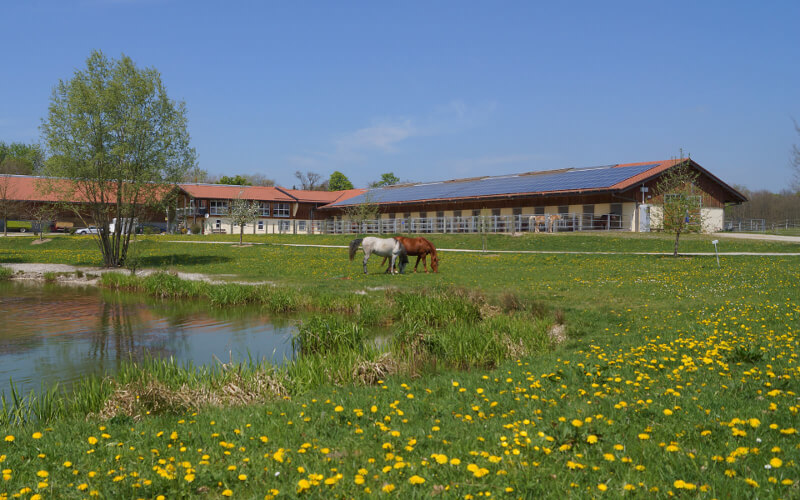 reiterhof gut mischenried